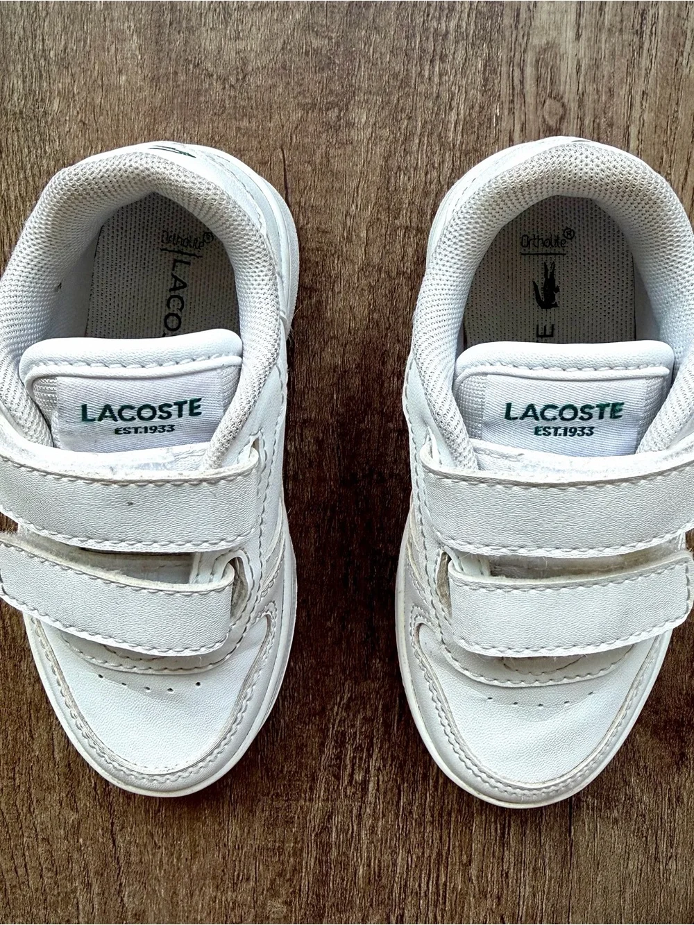 Lacoste authentic clip